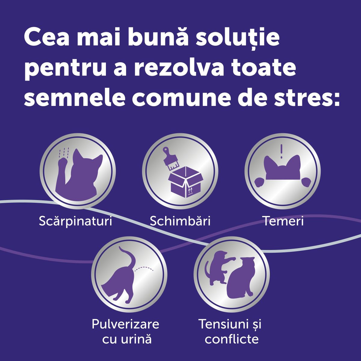 FELIWAY Optimum Rezervă diffuser, feromoni, sistem nervos &amp; calmante pisici, 48ml